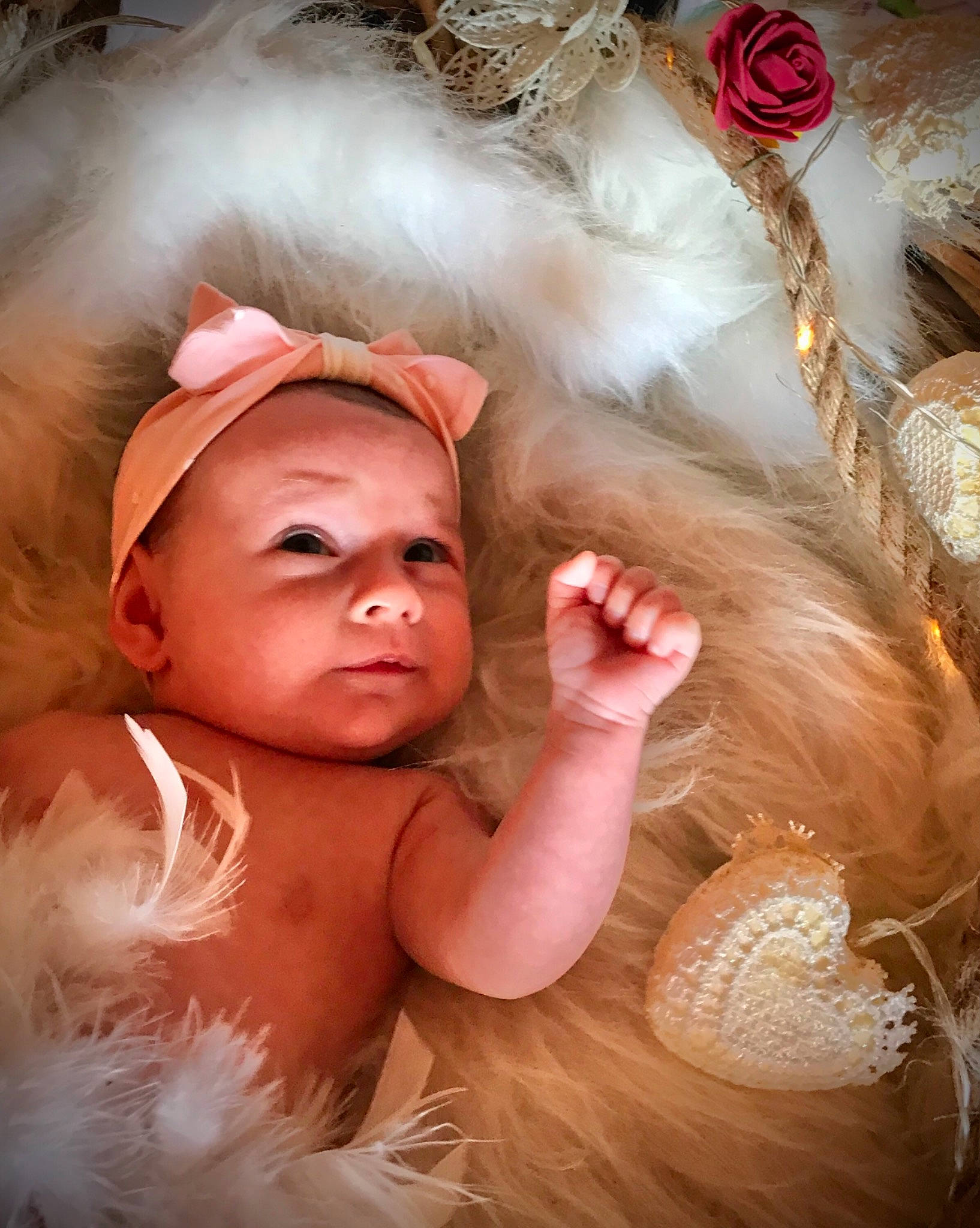 Julya participe au concours pour gagner de l'argent avec cette photo : baby, baby_toddler_clothing, child_model, costume_accessory, eyelash, fur, hair_accessory, headband, headgear, headpiece, iris, lip, nail, organ, peach, person, pink, rose, rose_family, rose_order