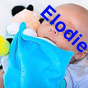 Lohan a rejoint le concours — aidez-le/la à gagner de superbes lots ! baby, blue, child, plush, stuffed_toy, textile, toy