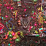 animal, cat, christmas, christmas_lights, christmas_tree, colorful, curious, cute, decorations, feline, festive, greenery, holiday, holiday_decor, indoor, ornaments, pet, playful, tabby_cat, tree_branch