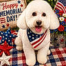dog, white_dog, bandana, american_flag, memorial_day, patriotic, flowers, stars, decorations, plaid, checkered_cloth, happy, tongue_out, pet, cute, celebration, holiday, outdoor, garden, festive