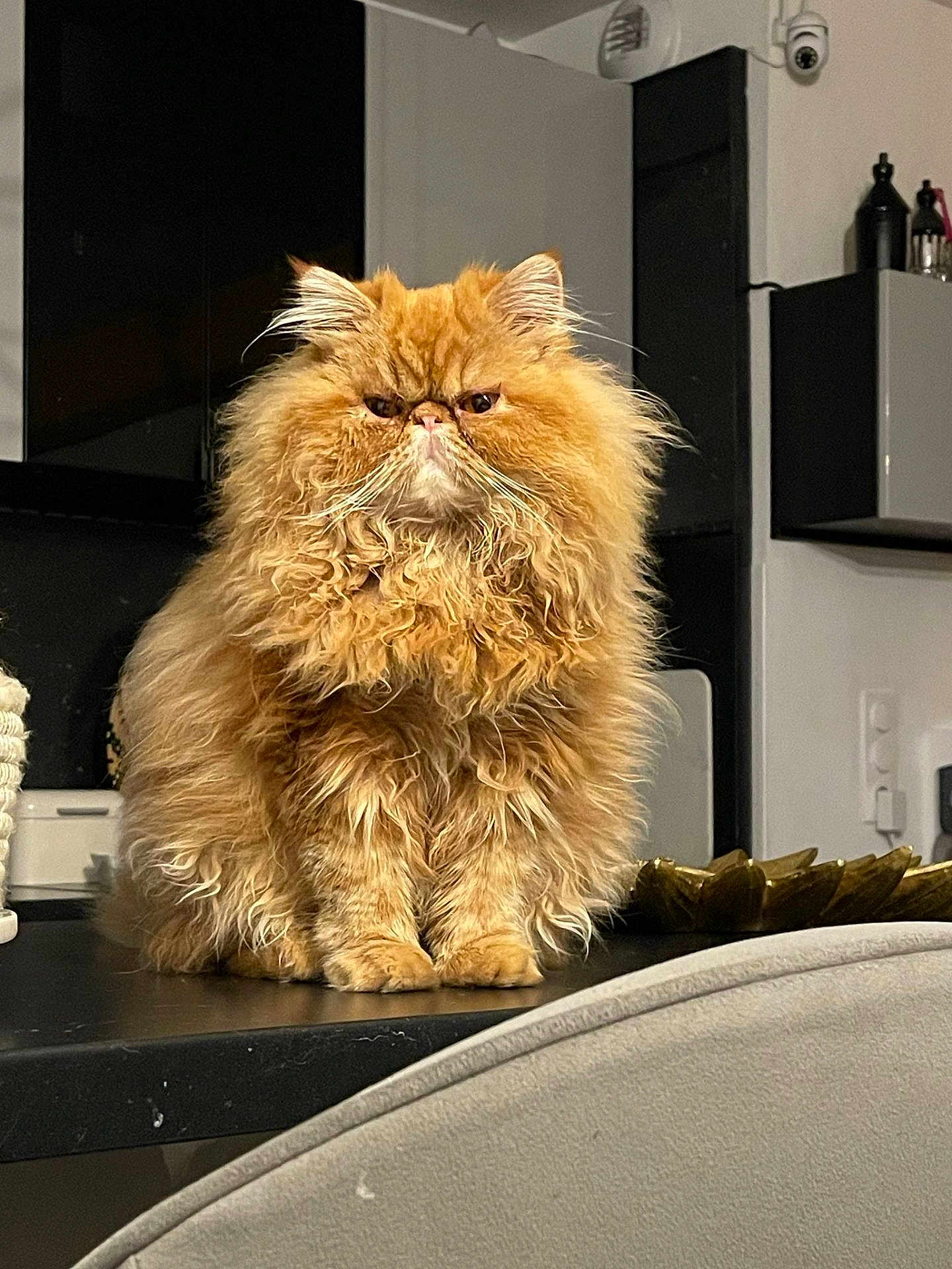 Charly