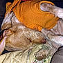 dog, sleeping, orange_sweater, pet, cozy, quilt, fur, paw, ears, rest, animal, cute, domestic_animal, indoor, relaxation, nap, closeup, warm, comfort, fur_texture