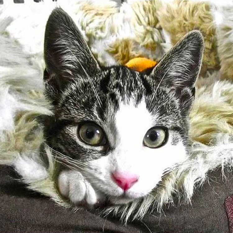 Isabella joined the competition — help win amazing prizes!