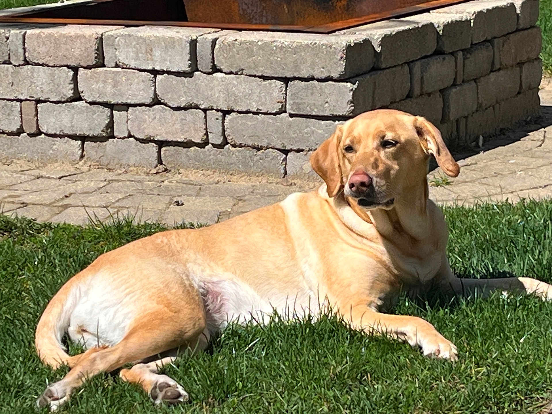 Maggie