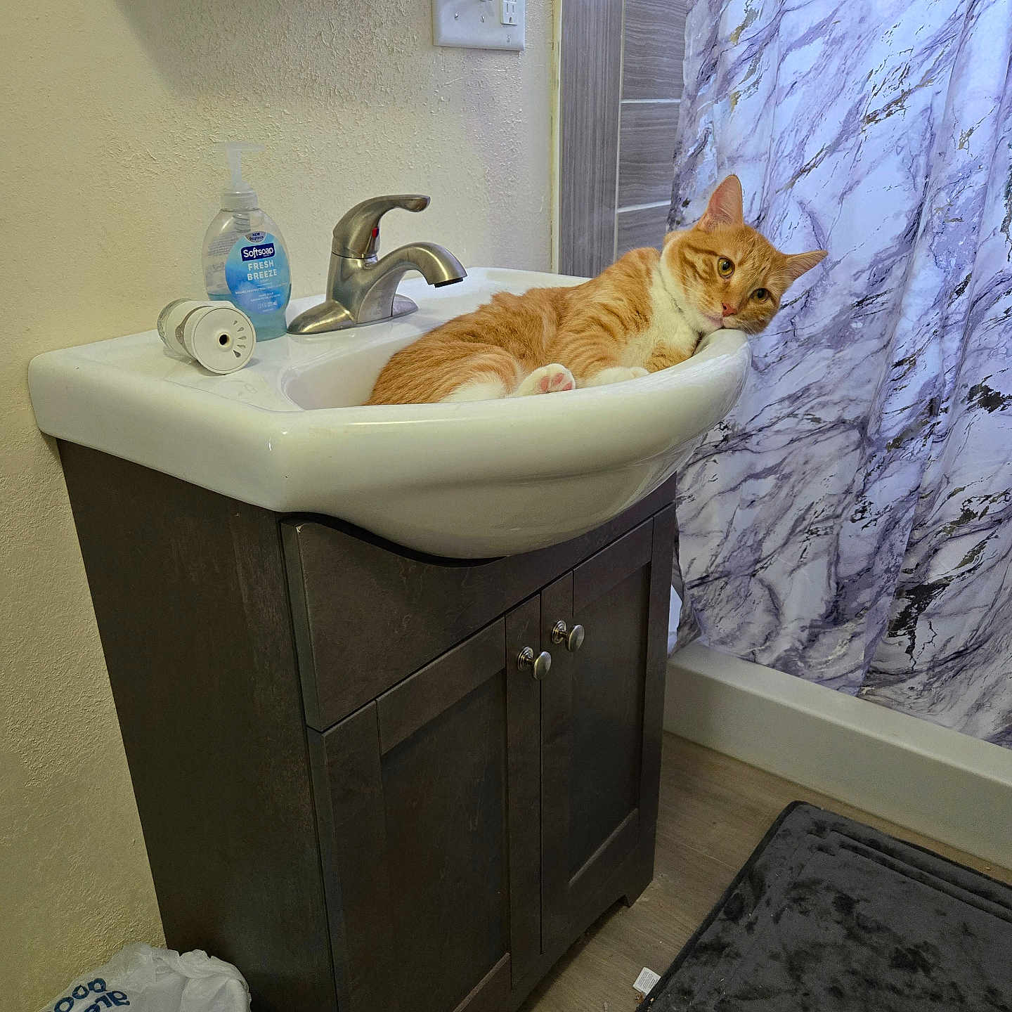 Oscar joined the competition — help win amazing prizes! bath_mat, bathroom, cabinet, cat, curtain, faucet, floor, fur, hand_soap, indoor, orange_tabby, paw, pet, plumbing, relaxed, resting, shower_curtain, sink, tile, whiskers