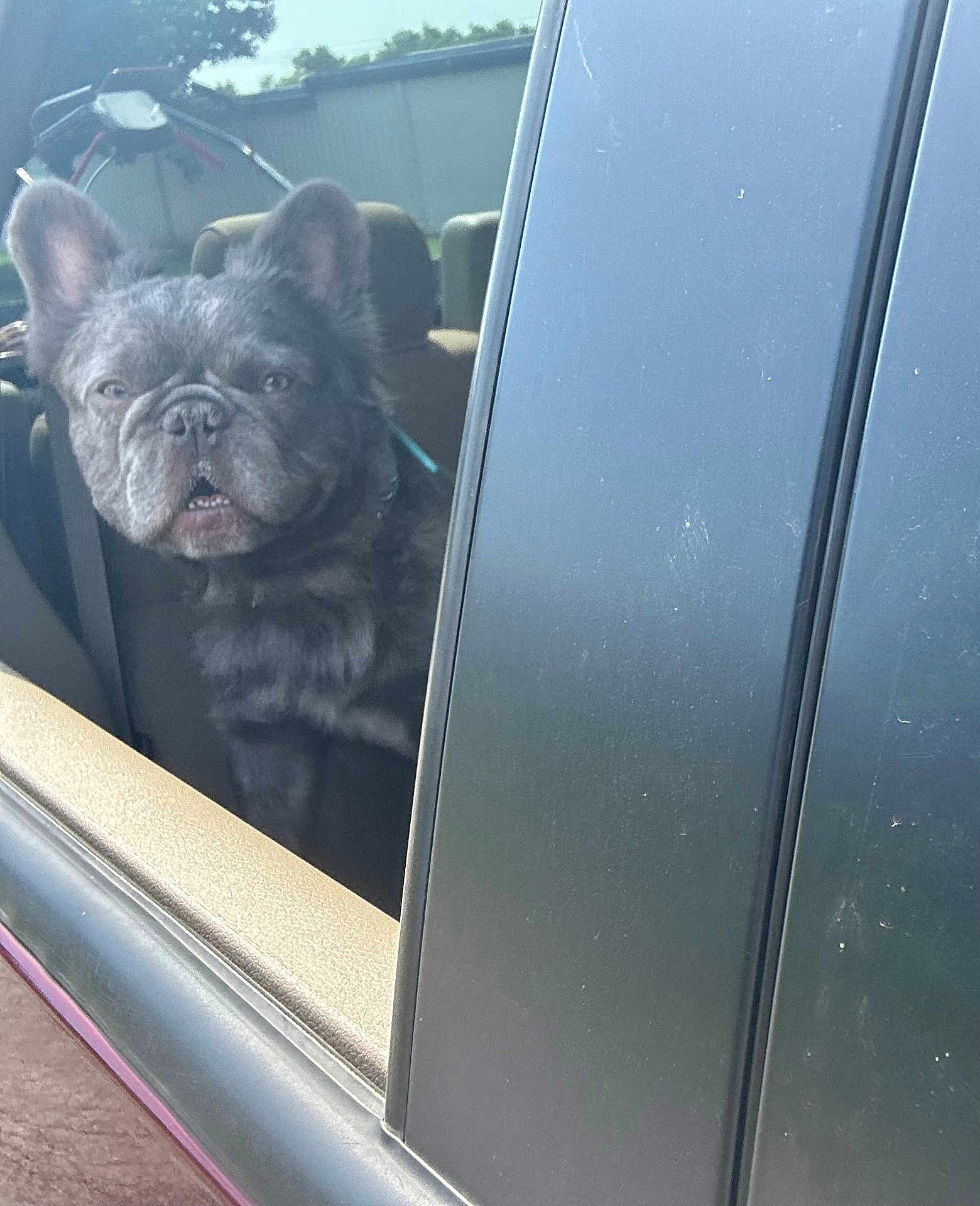 Sir Gizmo
