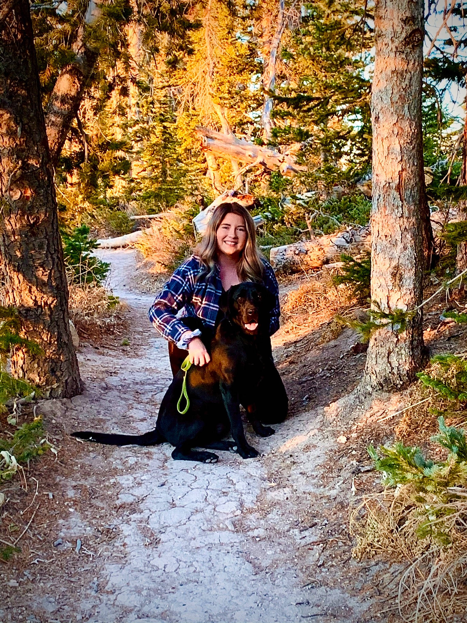 Sebastian joined the competition — help win amazing prizes! autumn, beauty, canidae, dog, fawn, forest, leaf, long_hair, nature, people_in_nature, photograph, photography, plant, portrait_photography, sitting, smile, sporting_group, tree, winter, woodland