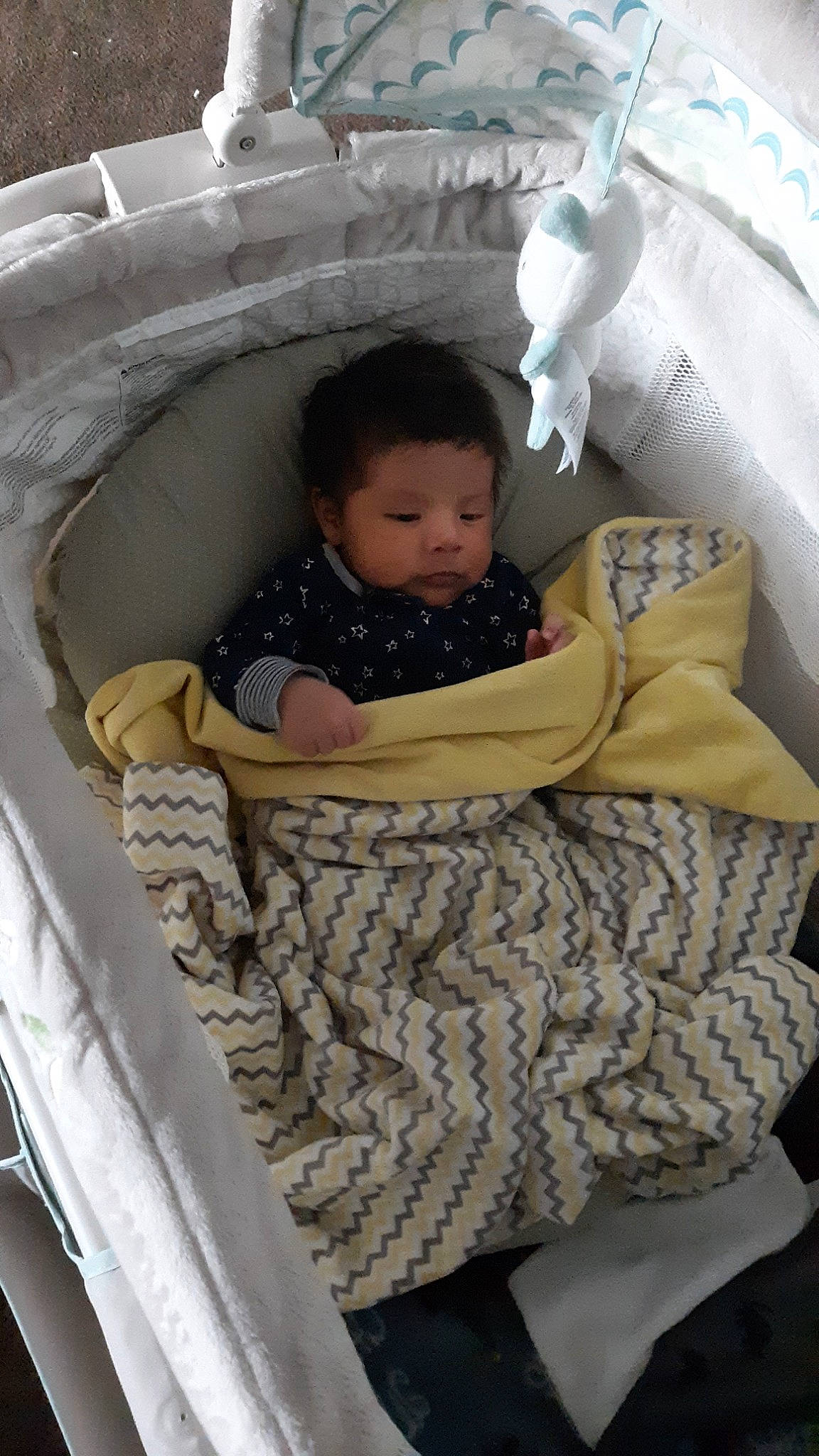 Louisé joined the competition — help win amazing prizes! baby, baby_products, baby_safety, child, comfort, infant_bed, person, product, toddler