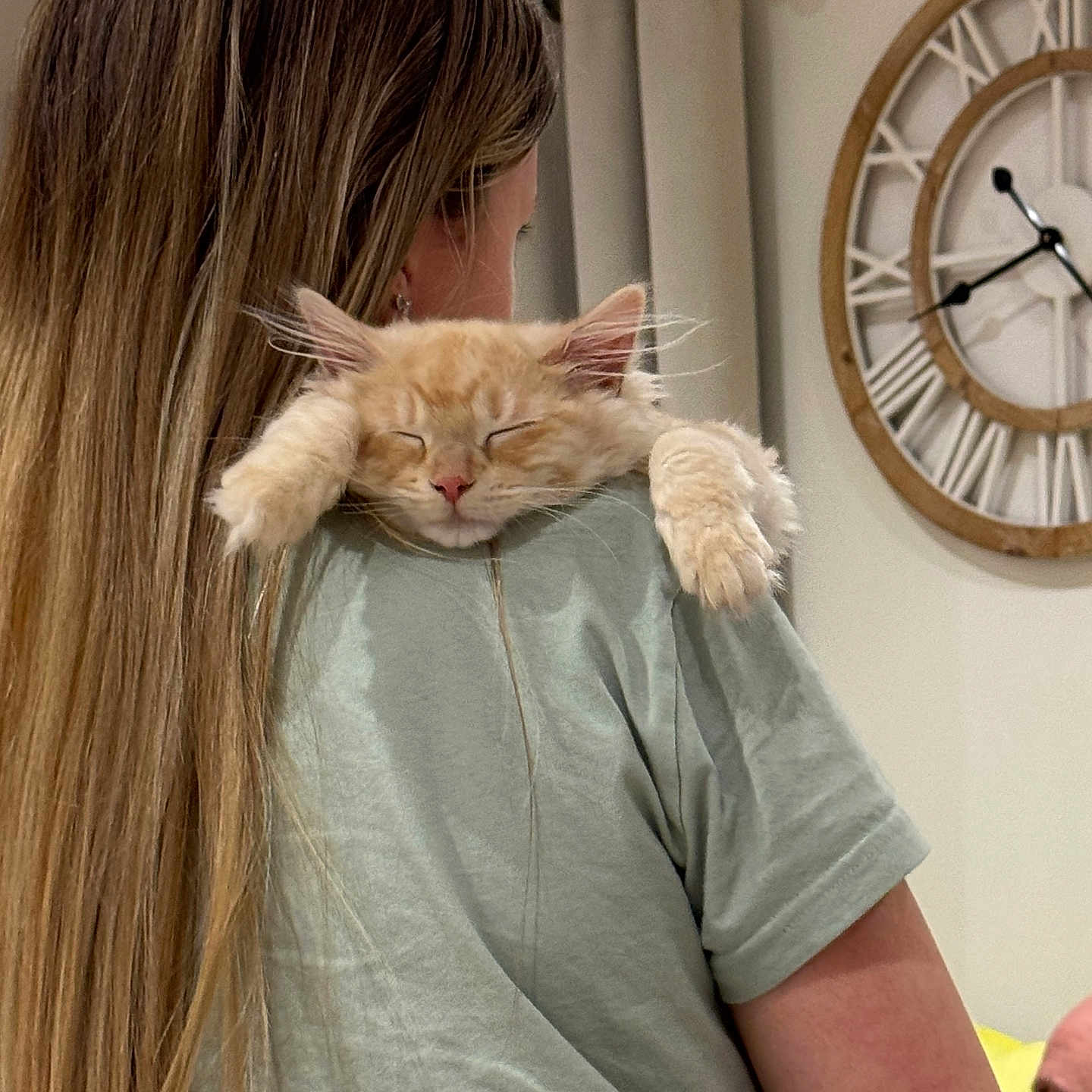 Jem joined the competition — help win amazing prizes! accessories, adult, analogclock, animal, blonde, cat, clock, face, female, glasses, hair, head, indoors, kitten, person, pet, photography, portrait, wallclock, woman