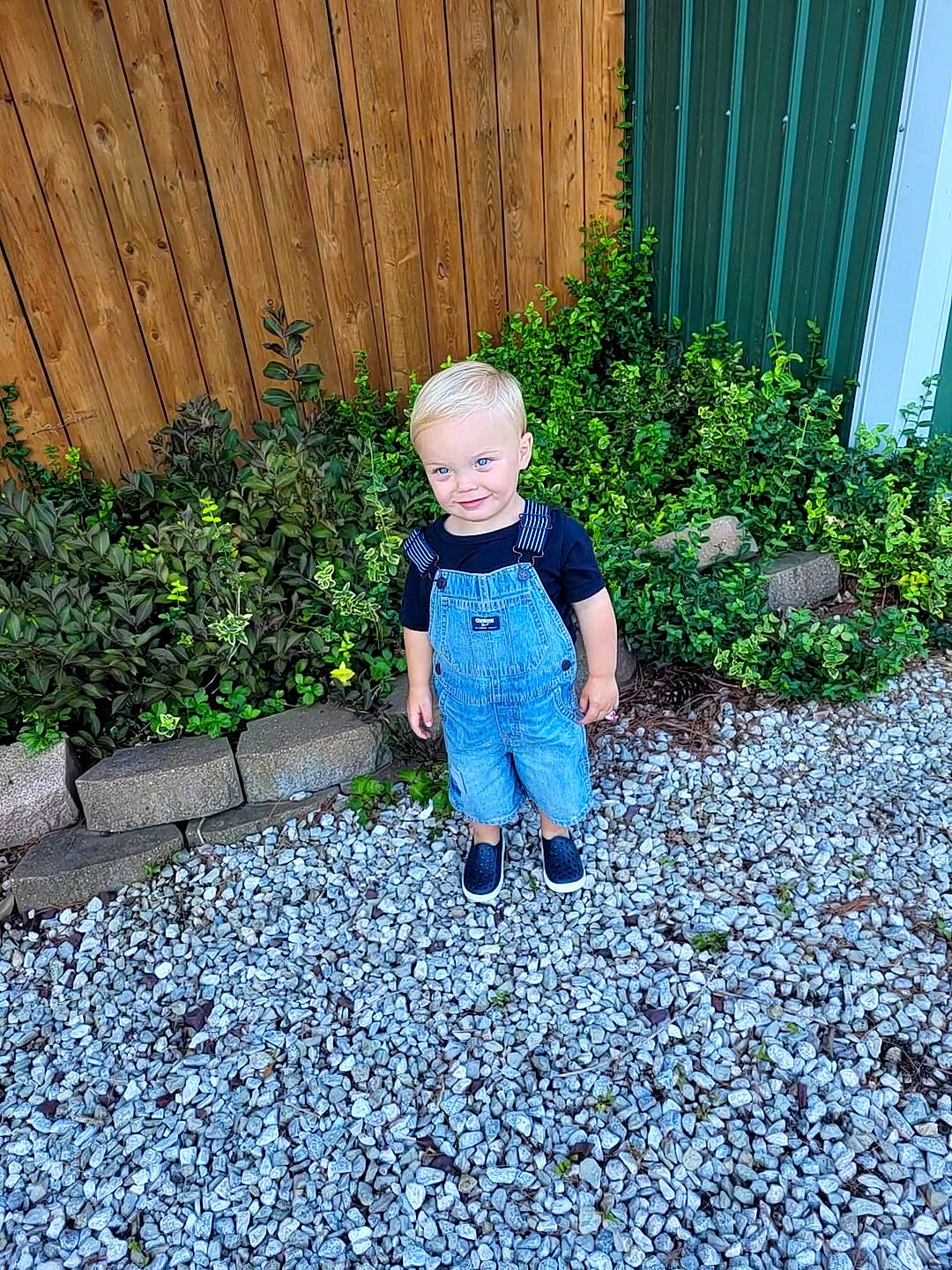 Crew joined the competition — help win amazing prizes! baby, baby_toddler_clothing, child, electric_blue, fence, flooring, garden, grass, grass_family, groundcover, home_fencing, joy, landscaping, lawn, people_in_nature, person, plant, road_surface, shrub, toddler