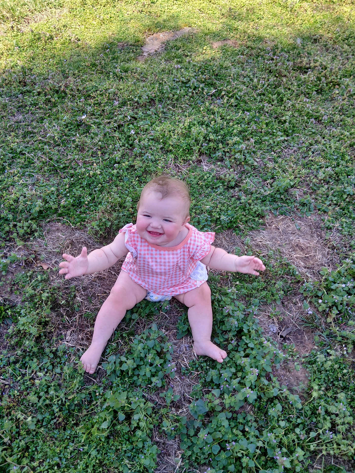 Mahala Logan joined the competition — help win amazing prizes! baby, infant, smiling, sitting, grass, outdoor, greenery, cute, chubby_cheeks, diaper, gingham_top, pink_clothing, bare_legs, happy, portrait, sunlight, nature, ground, playful, one_child