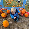 toddler, child, pumpkin, pumpkin_patch, outdoor, grass, boots, blue_jacket, autumn, fall, decoration, playful, curious, field, nature, seasonal, orange, crouching, illustration, daylight