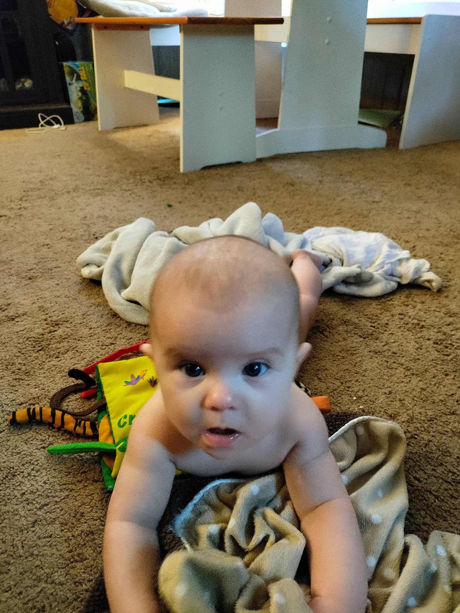 Clinton joined the competition — help win amazing prizes! baby, baby_products, baby_toddler_clothing, child, doll, fawn, floor, flooring, fun, grass, happy, iris, leg, person, sitting, skin, stuffed_toy, textile, toddler, toy