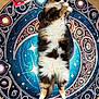 cat, calico_cat, fluffy, lying_down, rug, circular_rug, cosmic_pattern, star_pattern, swirls, wooden_floor, books, stack_of_books, relaxed, pet, indoor, feline, cozy, colorful, patterned, floor