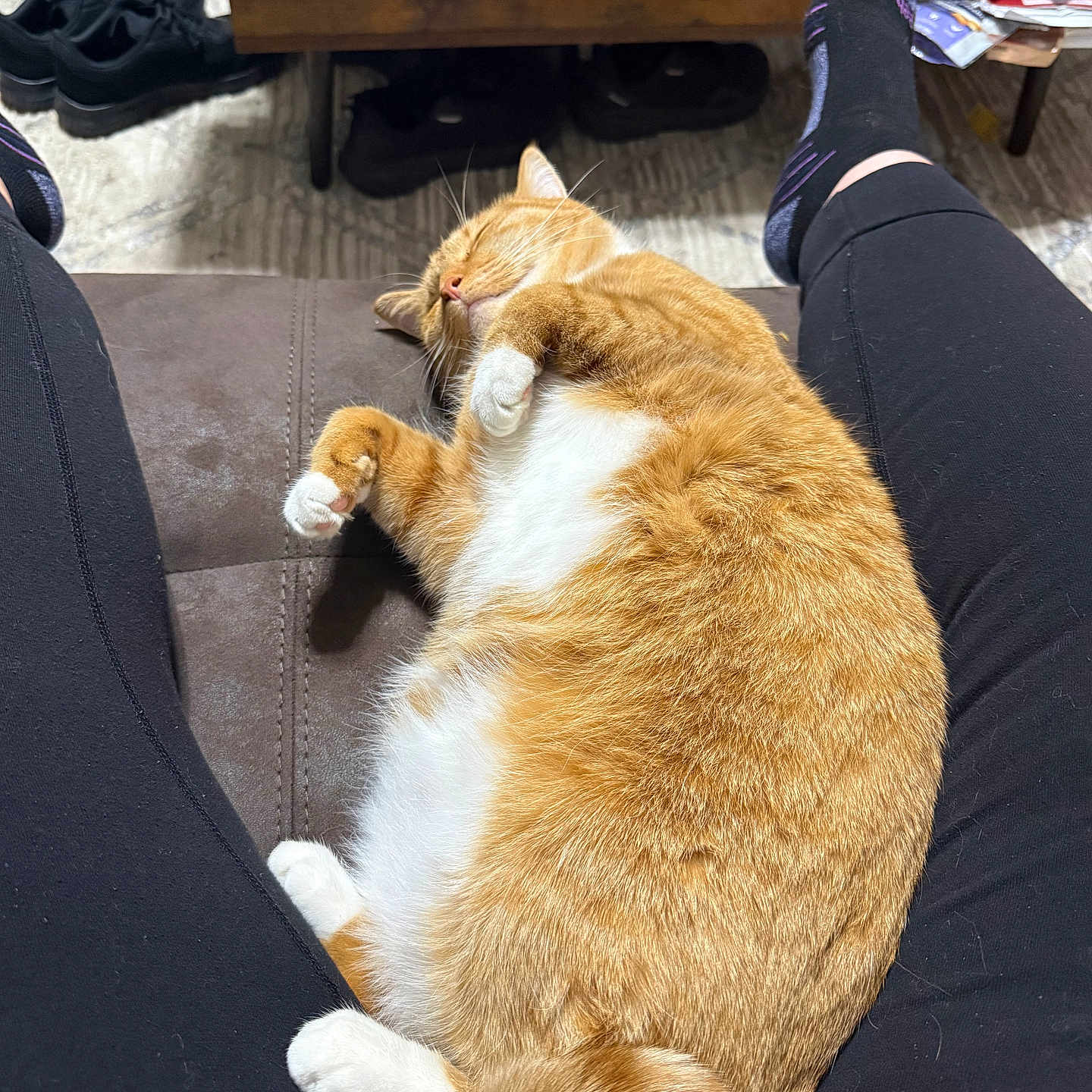 Ginger