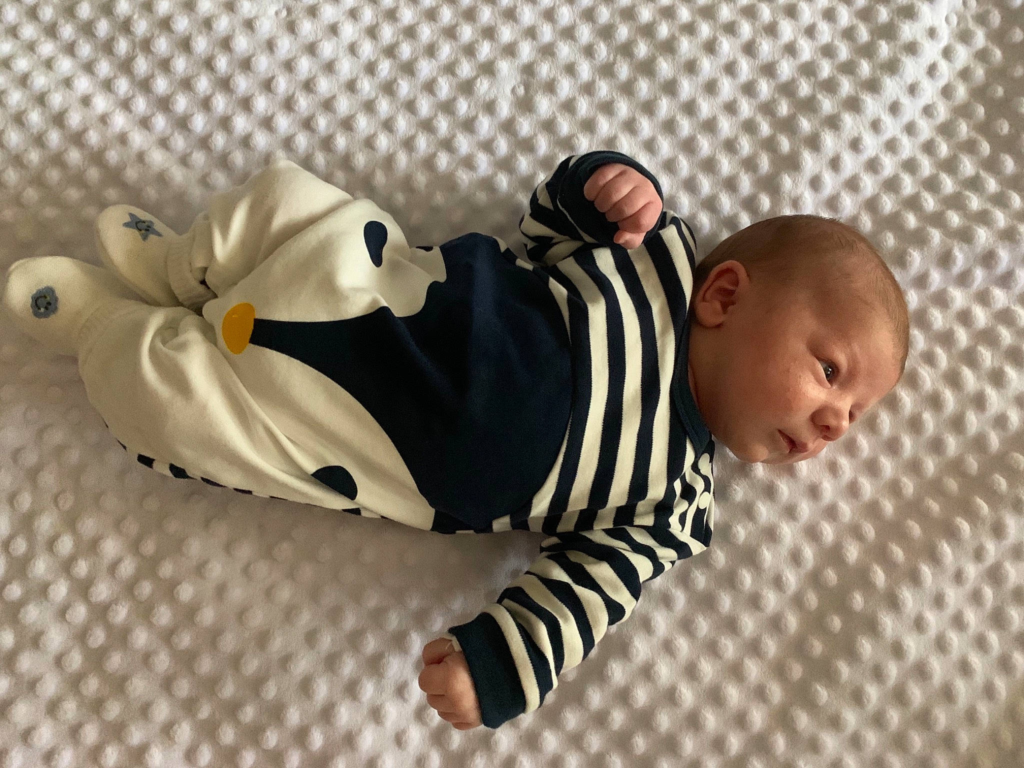 Mahë participe au concours pour gagner de l'argent avec cette photo : arm, baby, baby_products, baby_toddler_clothing, baby_toys, carmine, child, comfort, flooring, font, foot, happy, pattern, person, room, sitting, sleeve, toddler, toy, wood