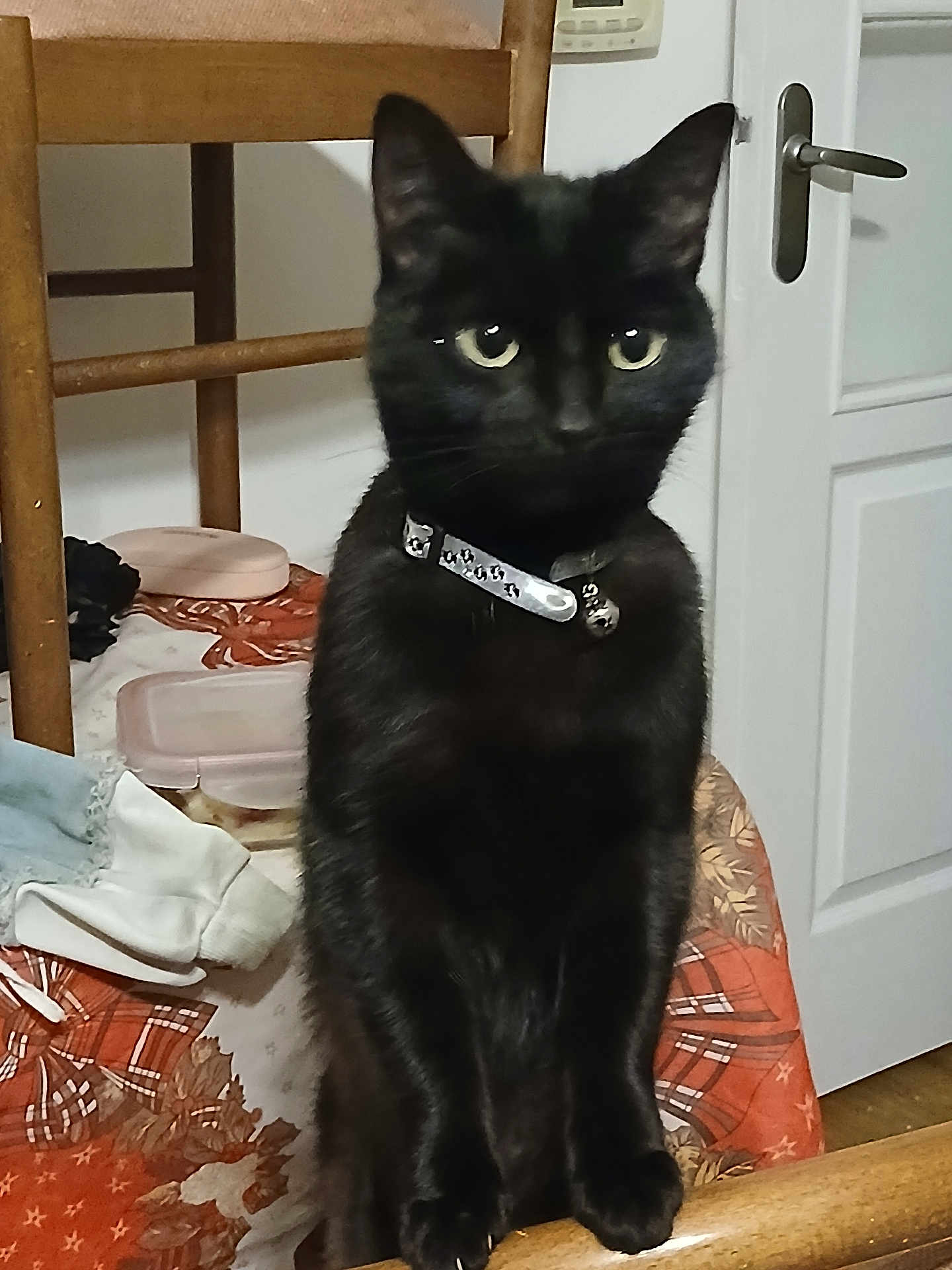 Tina