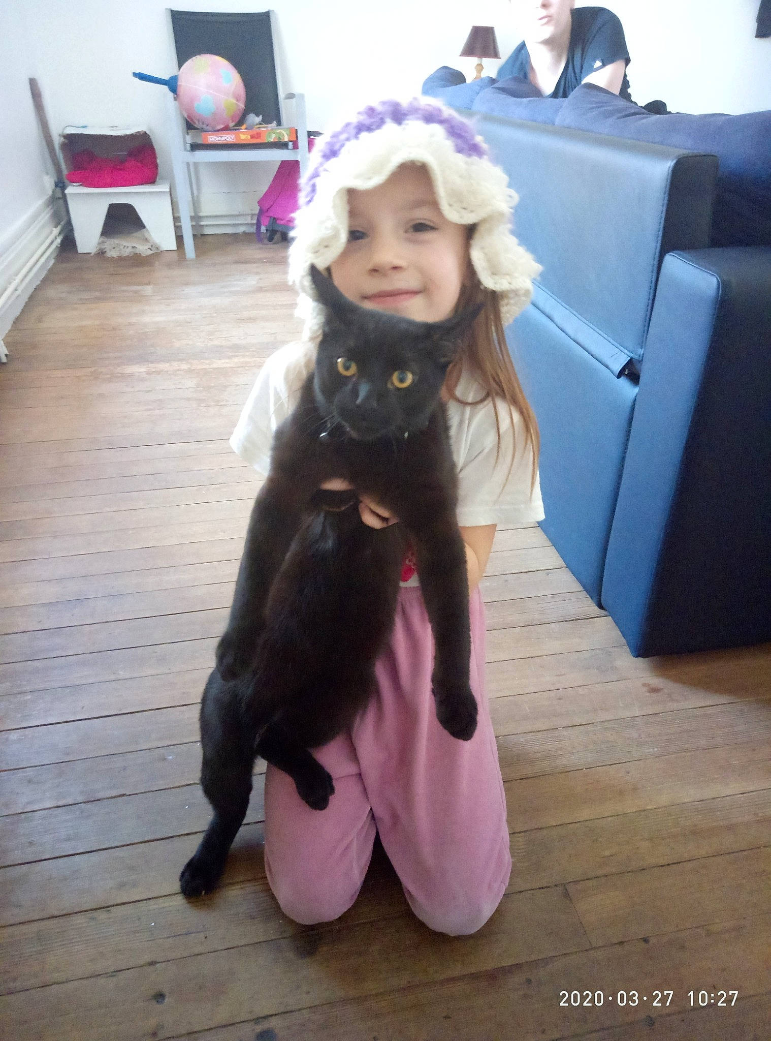 Grosnez participe au concours pour gagner de l'argent avec cette photo : canidae, carnivore, cat, costume, dog, dog_breed, ear, fawn, fur, long_hair, pink, sitting, skin, sporting_group, tail