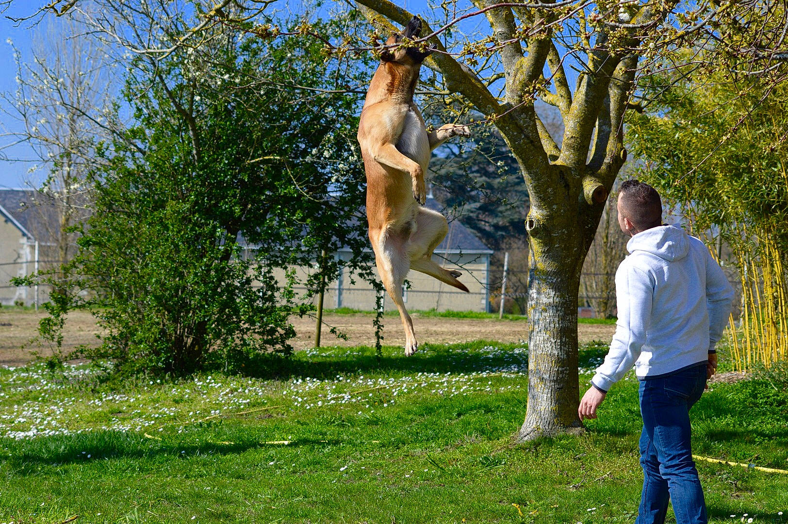 Maximus a rejoint le concours — aidez-le/la à gagner de superbes lots ! art, fawn, fun, grass, grass_family, grassland, happy, lawn, leisure, meadow, people_in_nature, plant, sculpture, sky, sunglasses, tree, trunk, twig, waist