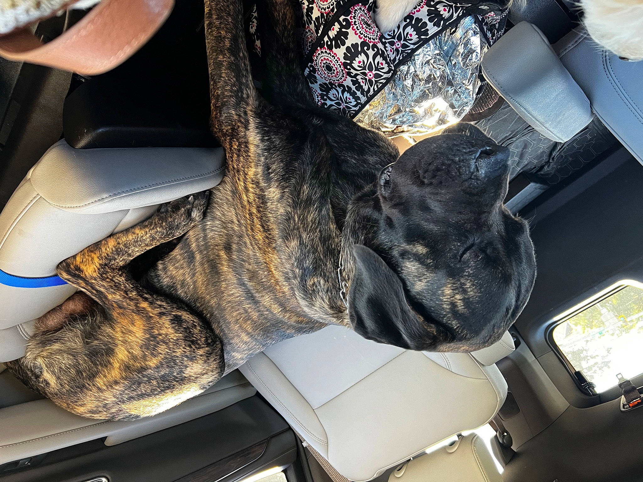 Max is registered to the contest to win money with this photo: auto_part, automotive_design, automotive_exterior, automotive_tire, automotive_wheel_system, car_seat, carmine, comfort, fashion_accessory, gesture, hood, human_leg, motor_vehicle, personal_luxury_car, personal_protective_equipment, sleeve, steering_wheel, thigh, vehicle_door, windshield