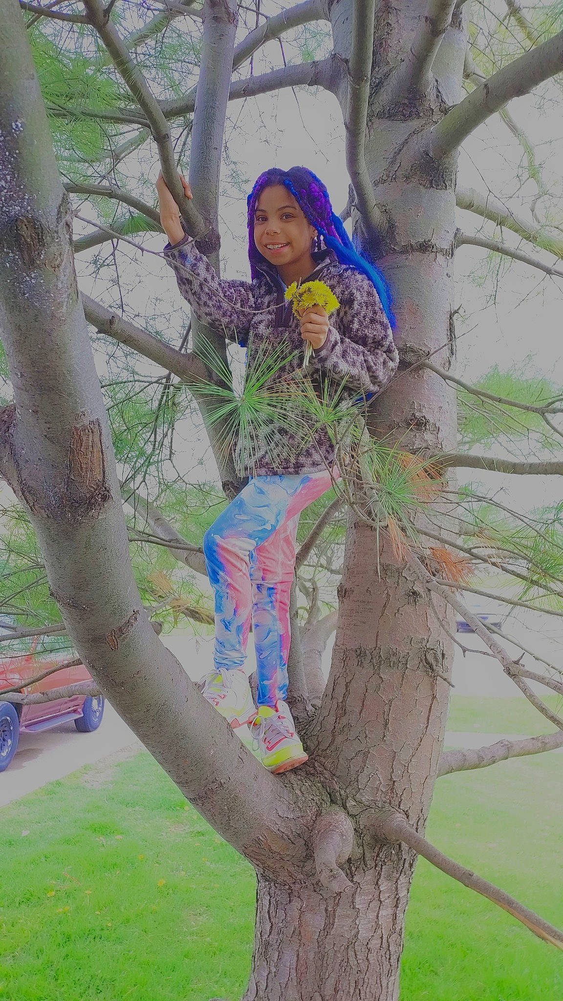 Liyana joined the competition — help win amazing prizes! art, branch, forest, grass, joy, leaf, leisure, people_in_nature, person, plant, plant_stem, spring, tire, tree, trunk, twig, visual_arts, wheel, wood, woody_plant