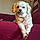 Tucker