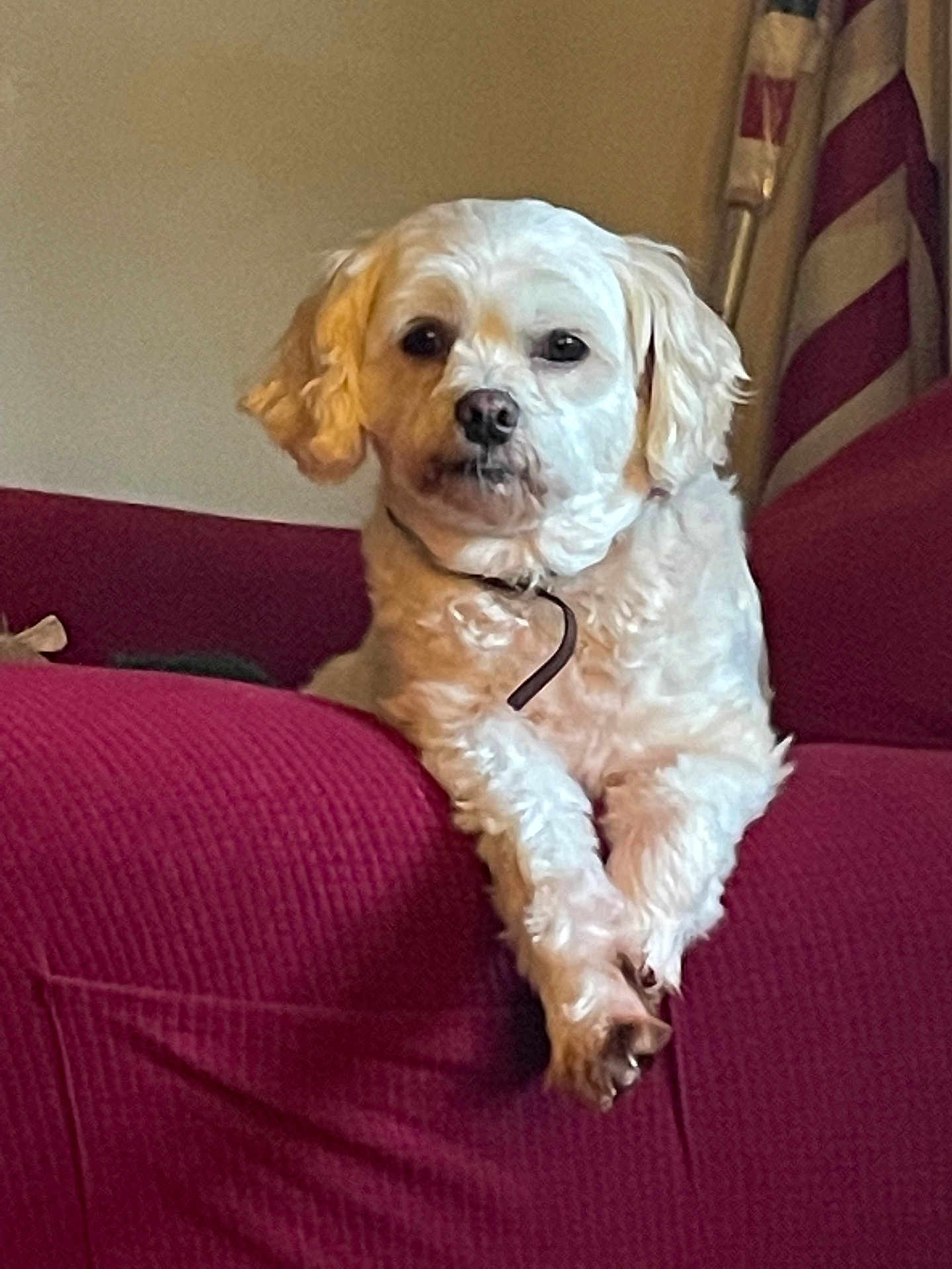 Tucker