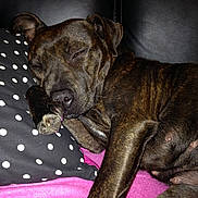 Jenna a rejoint le concours — aidez-le/la à gagner de superbes lots !