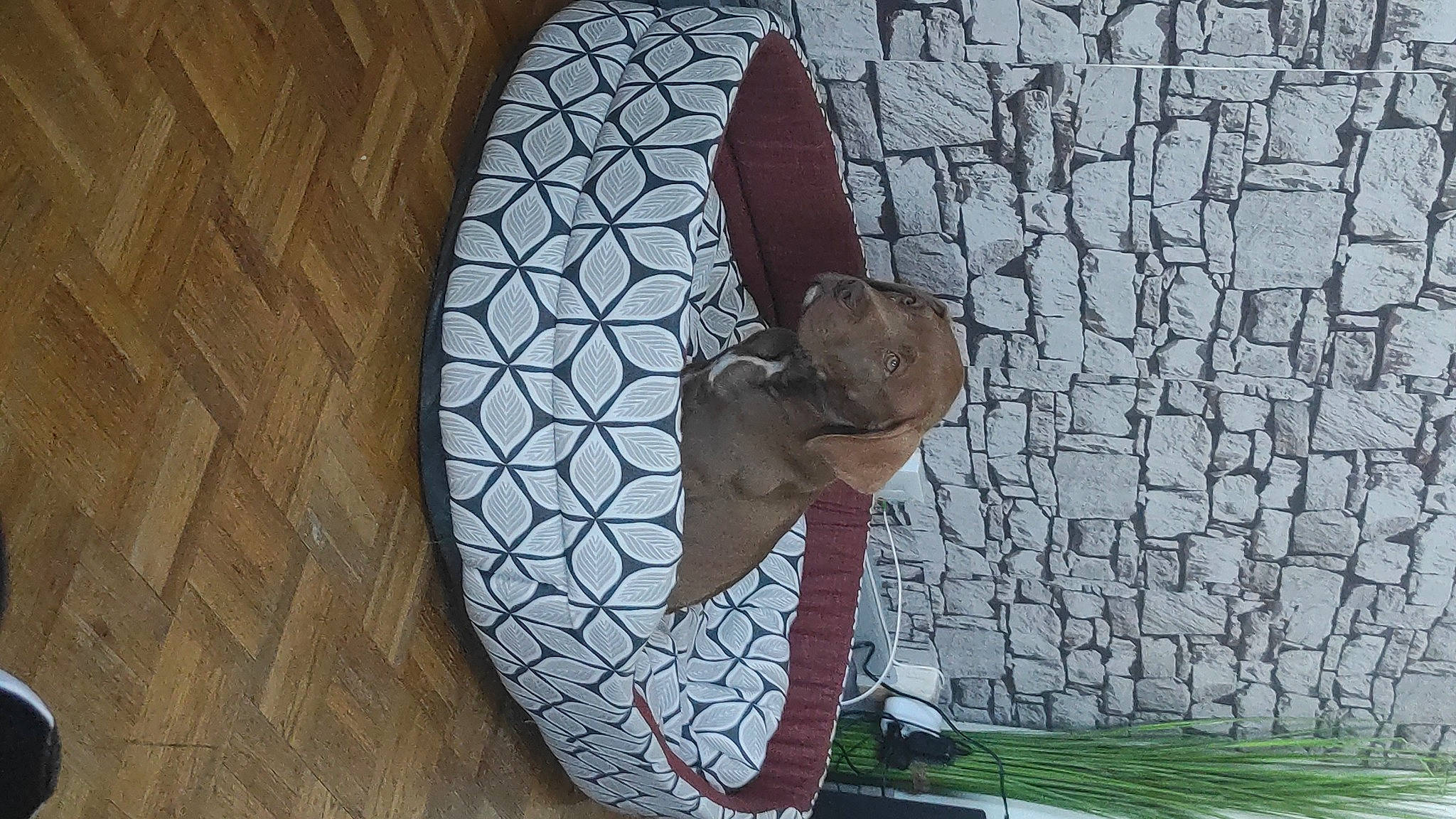 Ayron a rejoint le concours — aidez-le/la à gagner de superbes lots ! art, automotive_wheel_system, brick, brickwork, circle, door, facade, fashion_accessory, font, glass, headgear, metal, mural, pattern, sculpture, tableware, trunk, visual_arts, window, wood