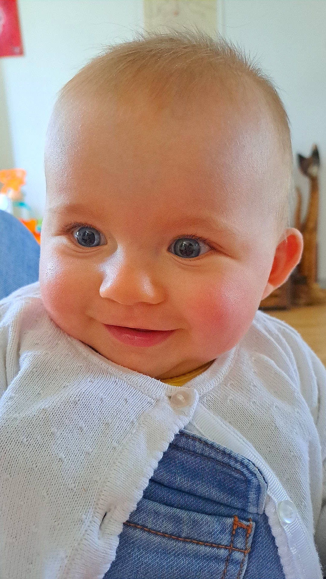 Maxine participe au concours pour gagner de l'argent avec cette photo : baby, baby_toddler_clothing, cheek, child, chin, collar, eyebrow, eyelash, flooring, iris, lip, nose, pattern, person, sitting, skin, sleeve, smile, toddler, wool