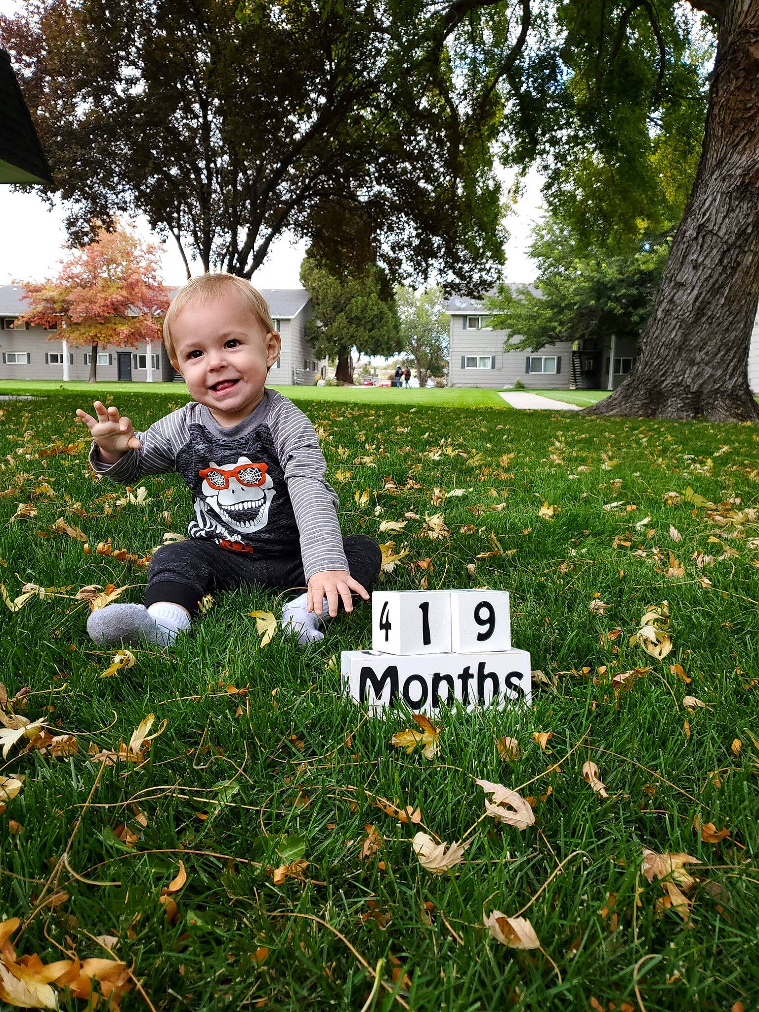 Donovan Jr is registered to the contest to win money with this photo: autumn, baby, child, flower, grass, happy, joy, lawn, leaf, person, photography, plant, play, smile, spring, toddler, tree