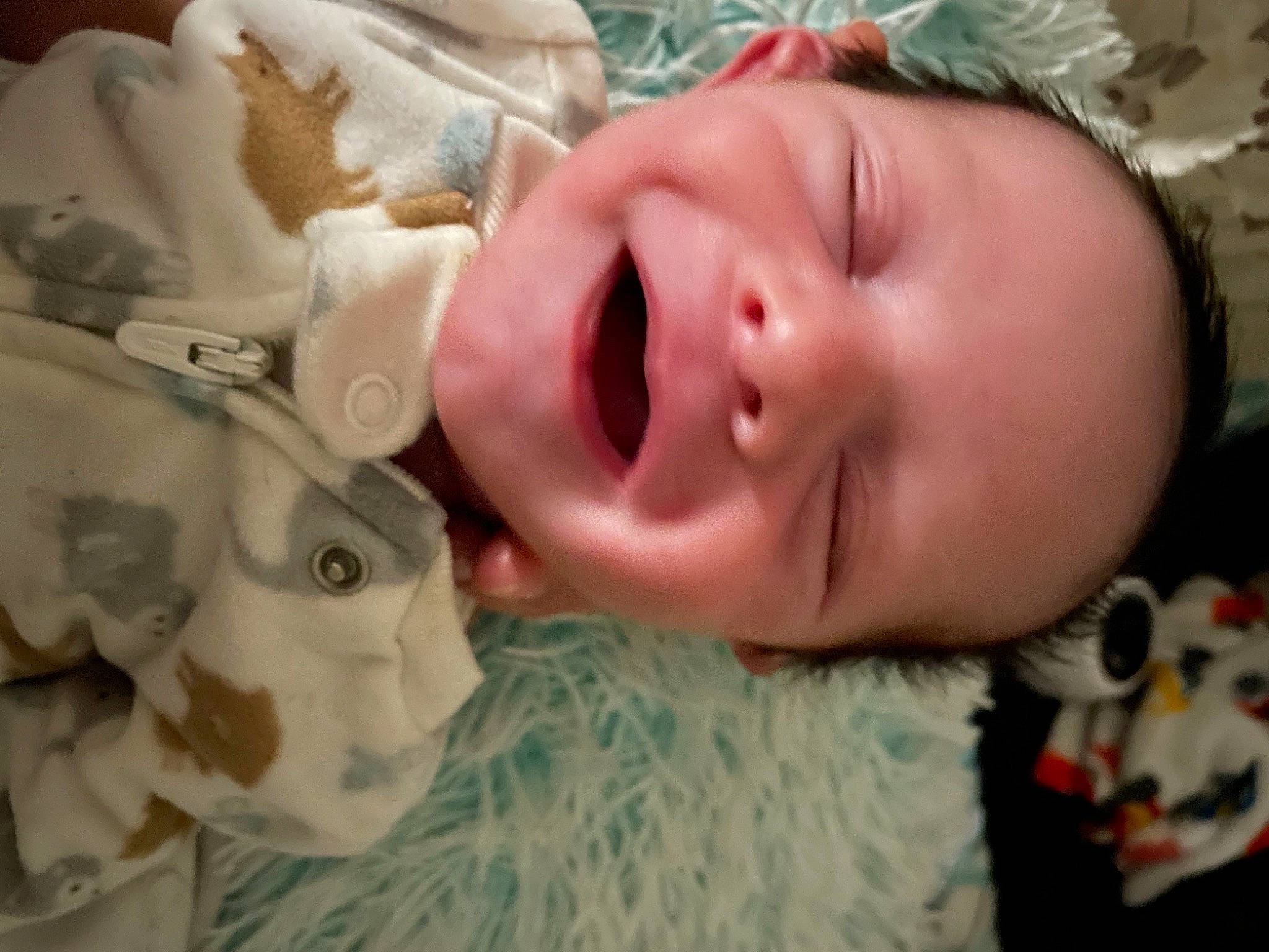 Charles Thomas Gebhardt is registered to the contest to win money with this photo: baby, baby_toddler_clothing, cheek, child, chin, eyebrow, eyelash, finger, grass, happy, headgear, human_body, iris, lip, mouth, nose, person, skin, smile, toddler