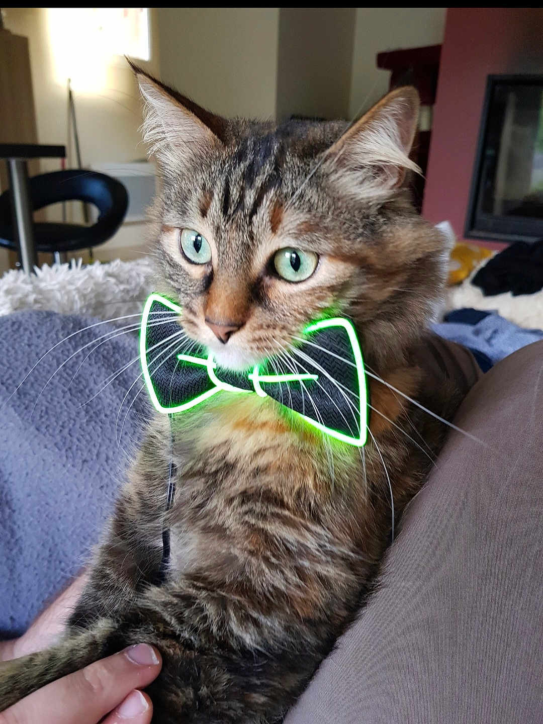 Laska