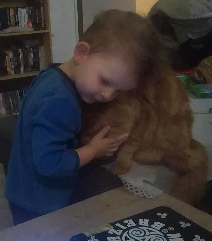 Arsène participe au concours pour gagner de l'argent avec cette photo : art, baby, bookcase, child, companion_dog, flooring, fun, homework, nose, person, play, room, shelf, shelving, sitting, t_shirt, table, toddler, tummy_time, wood