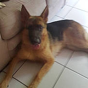 Floride participe au concours pour gagner de l'argent avec cette photo :