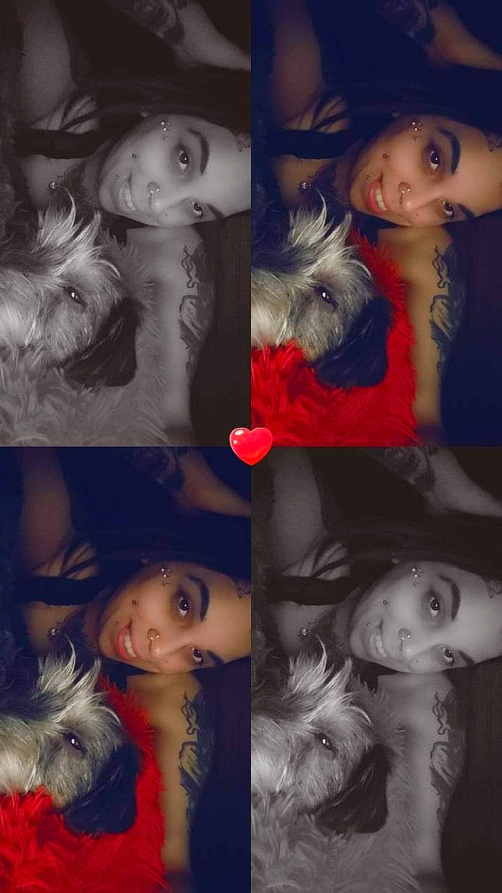 Ahro participe au concours pour gagner de l'argent avec cette photo : art, beauty, collage, companion_dog, darkness, electric_blue, eyelash, facial_expression, flash_photography, font, fun, fur, hair_coloring, happy, human, love, mouth, nose, photo_caption, photograph