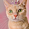 cat, ginger_cat, crowned_cat, pet, animal, feline, close_up, portrait, green_eyes, whiskers, ears, pink_nose, fur, orange_fur, royalty, crown, sparkly, pink_background, front_facing, adorable
