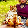 cat, person, outdoor, greenery, lap, sunglasses, purple_top, shorts, tattoo, sunlight, grass, relaxed, pet, animal, summer, nature, casual, happy, orange_cat, white_cat