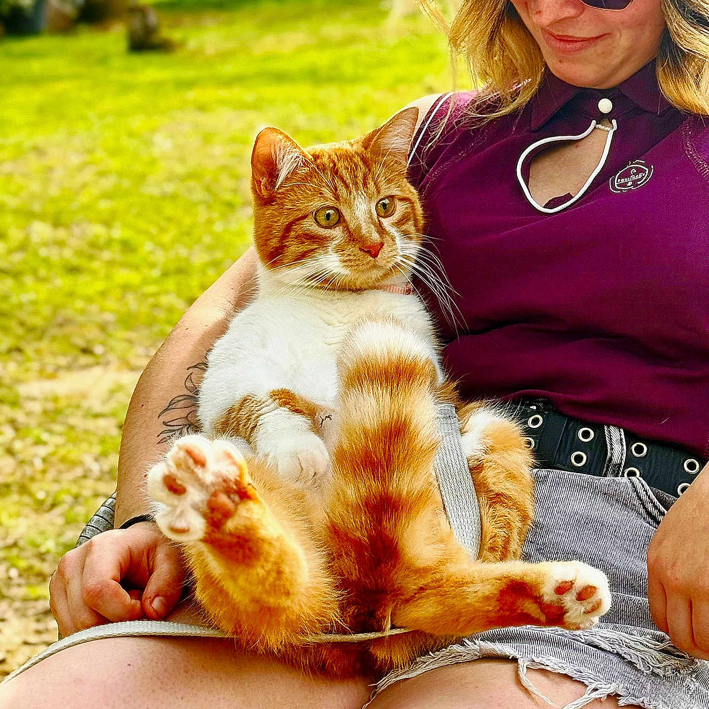 Aslan participe au concours pour gagner de l'argent avec cette photo : cat, person, outdoor, greenery, lap, sunglasses, purple_top, shorts, tattoo, sunlight, grass, relaxed, pet, animal, summer, nature, casual, happy, orange_cat, white_cat