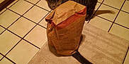 Flash joined the competition — help win amazing prizes! cat, tabby, paper_bag, kitchen, tile_floor, rug, tail, curious, pet, indoor, cabinet, floor, animal, playful, domestic, feline, brown, striped, home, footwear