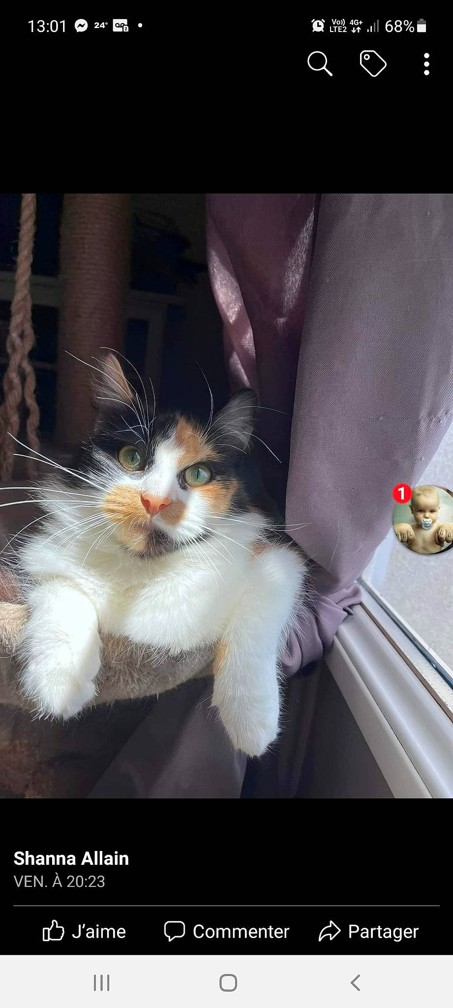 Willo participe au concours pour gagner de l'argent avec cette photo : carnivore, cat, claw, companion_dog, domestic_short_haired_cat, fashion_accessory, felidae, foot, formal_wear, fur, human_leg, paw, photo_caption, sitting, small_to_medium_sized_cats, tail, thigh, vehicle_door, waist, whiskers