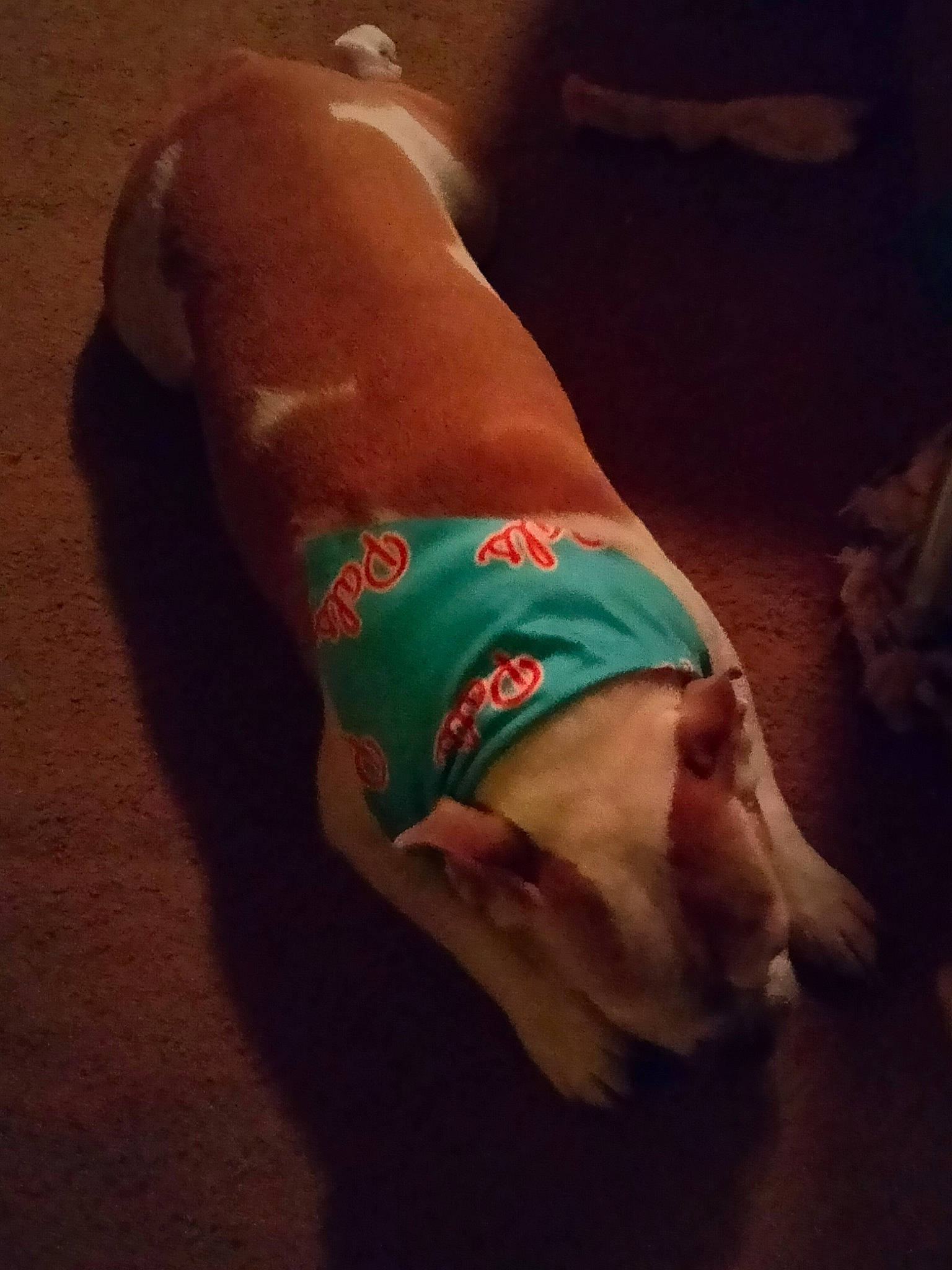 Chop Payne is registered to the contest to win money with this photo: abdomen, barefoot, chest, comfort, elbow, finger, flooring, foot, gesture, hardwood, human_body, human_leg, knee, nail, neck, thigh, thumb, toe, trunk, wrist