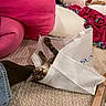 carpet, cat, cozy, cute, fabric, feline, foot, household, indoor, mesh_bag, pet, pink_blanket, pink_cushion, playful, relaxed, resting, sock, tabby_cat, textile, white_pillow