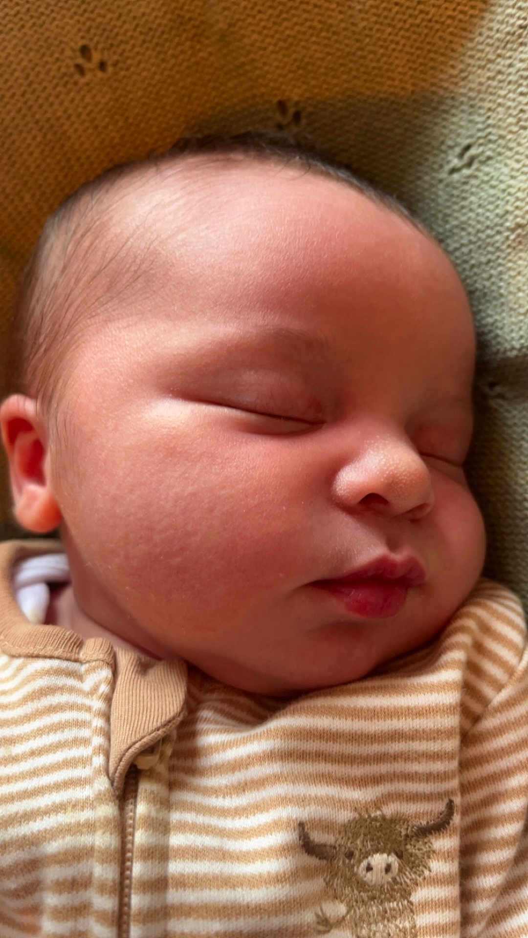 Weston joined the competition — help win amazing prizes! baby, sleeping, face, infant, onesie, striped_clothing, embroidered_animal, closeup, peaceful, soft_skin, newborn, child, portrait, cute, cozy, head, ear, nose, lips, texture