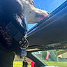 dog, black_collar, car, sunroof, blue_sky, sunlight, tag, bone_shaped_tag, side_mirror, steering_wheel, window, pet, canine, outdoor, daytime, vehicle_interior, reflection, seat, dashboard, leash