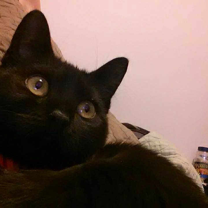 Addison