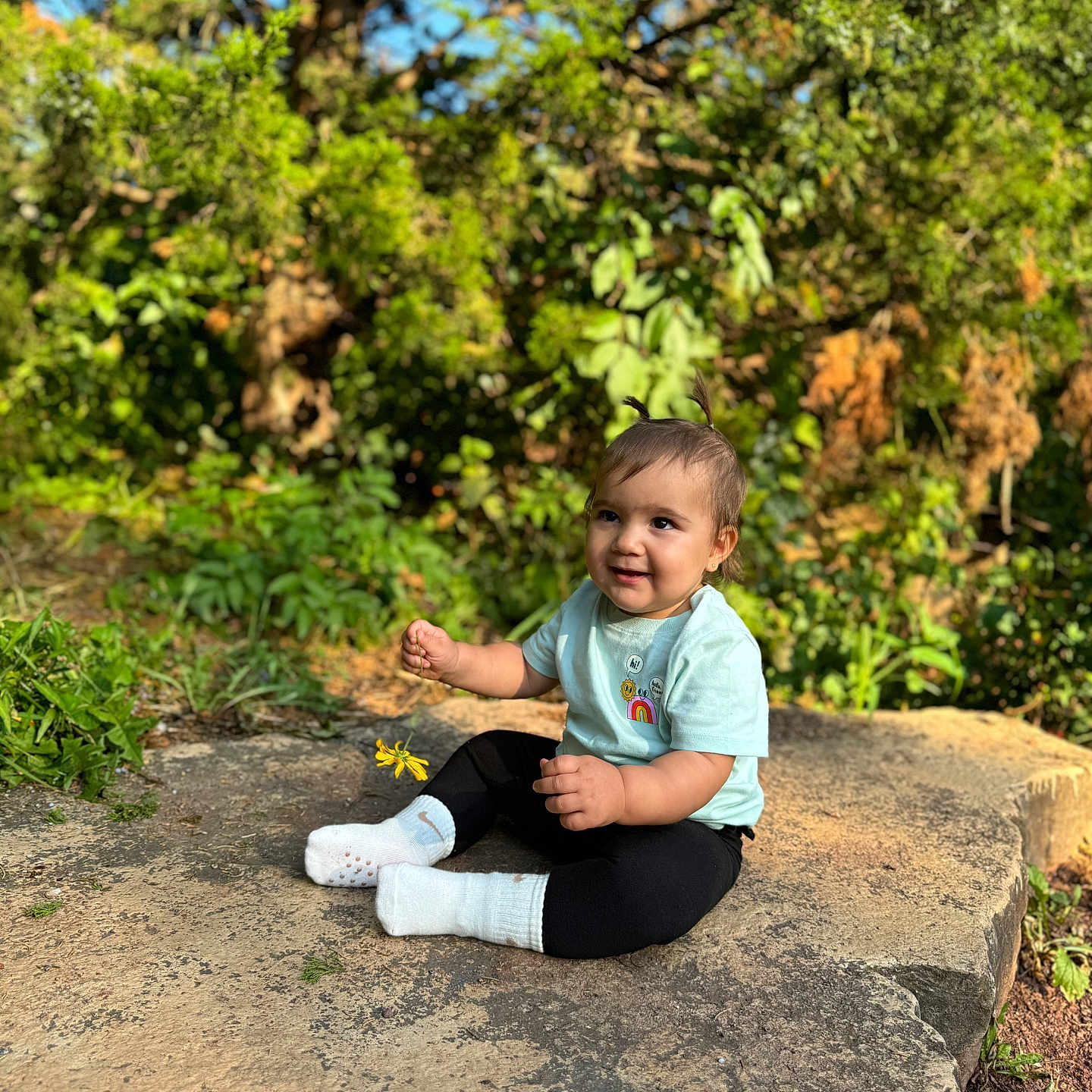 Naya is registered to the contest to win money with this photo: baby, bodypart, clothing, face, finger, grass, hand, head, herbal, herbs, pants, person, photography, plant, portrait, rock, sitting, soil, tree, vegetation
