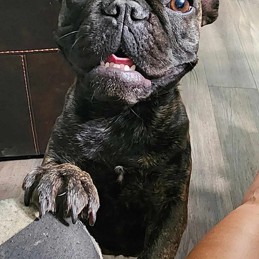 Zoey
