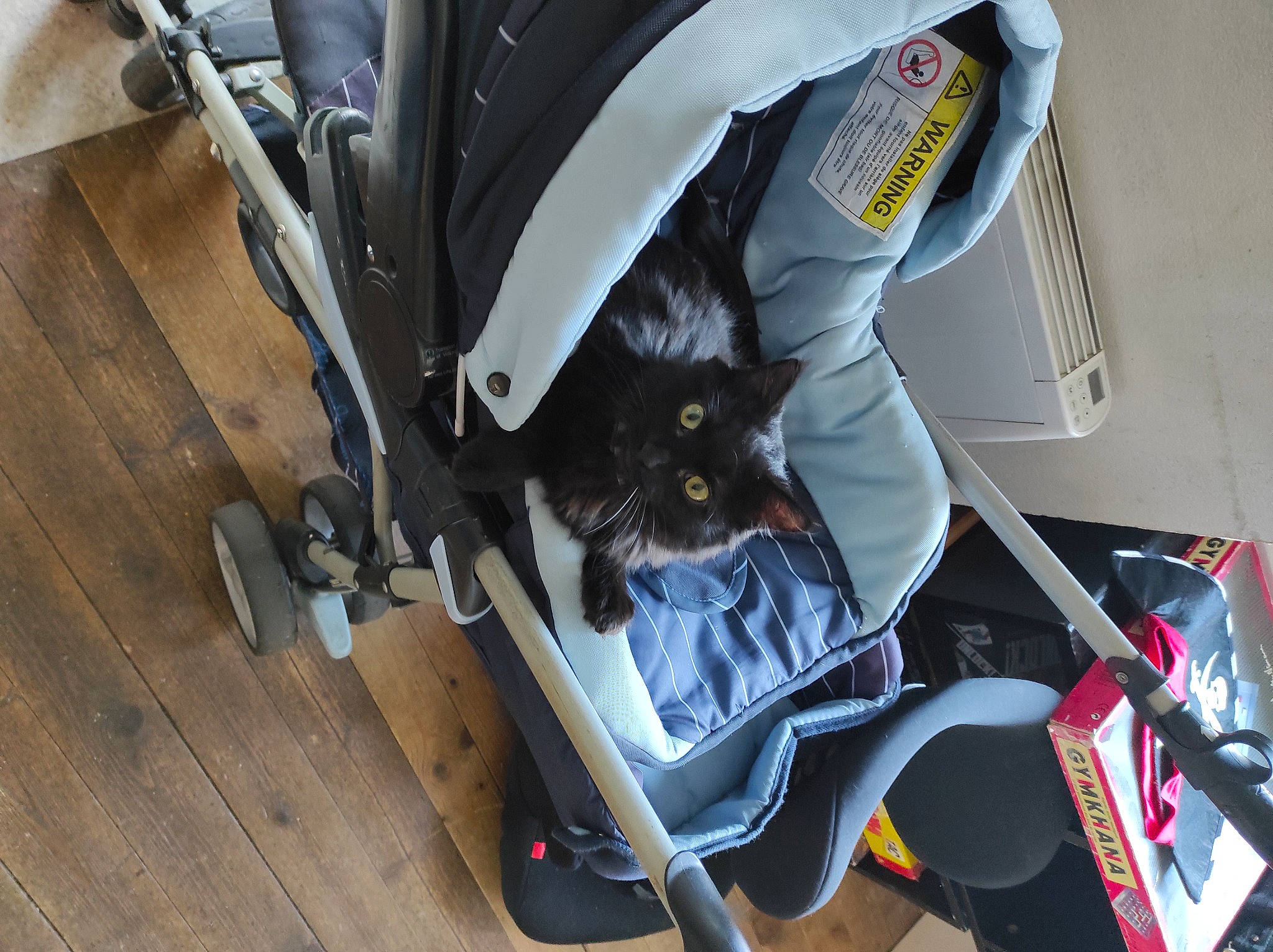 Bastet a rejoint le concours — aidez-le/la à gagner de superbes lots ! auto_part, automotive_exterior, automotive_lighting, automotive_tire, automotive_wheel_system, baby_carriage, bag, carnivore, cat, chair, comfort, felidae, fender, luggage_and_bags, motor_vehicle, motorcycle_accessories, personal_protective_equipment, rim, small_to_medium_sized_cats, wood