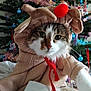 animal, blue_ornaments, cat, celebration, christmas_tree, costume, cute, decorations, festive, fur, hand, holiday, indoor, ornaments, pet, pink_tinsel, red_nose, reindeer_costume, tree_lights, whiskers
